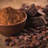 Cocoa Powder