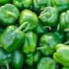Daily Fresh Green Capsicum - Farm Picked Quality